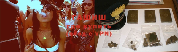 прущие грибы Рославль