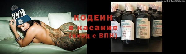 дурь Алексин