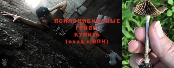ГАЛЛЮЦИНОГЕННЫЕ ГРИБЫ Россошь